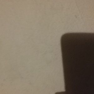 Meet your Posher, Millie